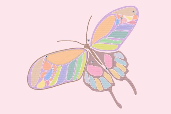 A Practical Review of the Colorful November Butterfly Design