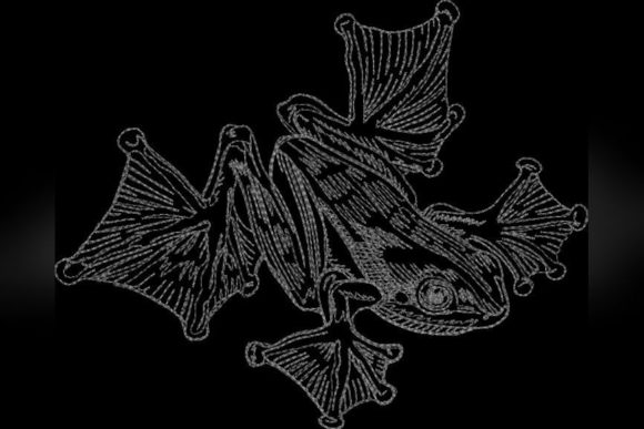 Frog One Line Embroidery: A Designer’s Review