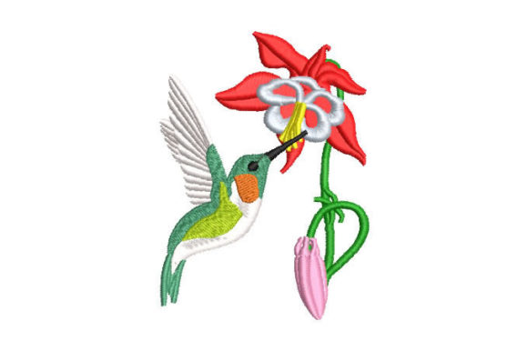 Hummingbird Pecking a Flower Design Review